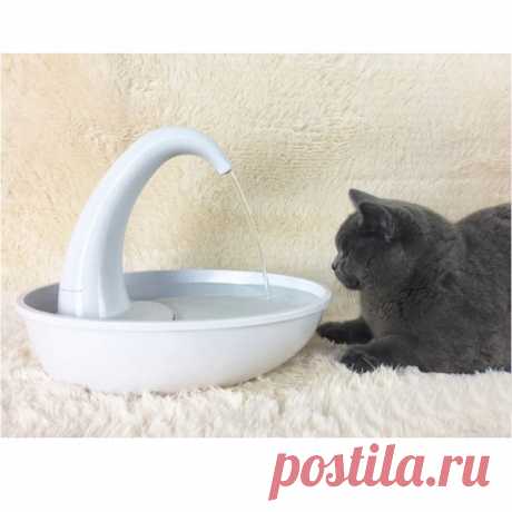 Поилка для домашних питомцев

https://s.click.aliexpress.com/e/_siWpQS?product_id=3..

#поилка
