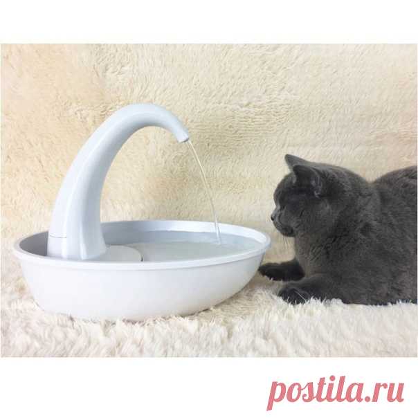 Поилка для домашних питомцев

https://s.click.aliexpress.com/e/_siWpQS?product_id=3..

#поилка