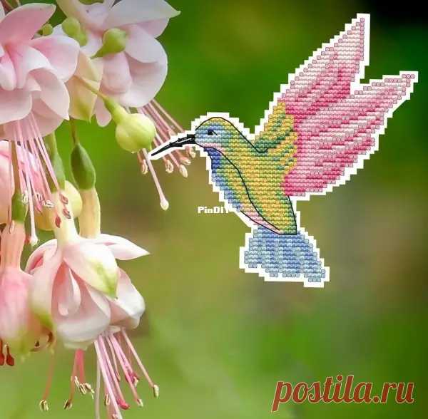 Kolibri - Hummingbird by Oksana Ershova  Edited by Duckeyd at 2024-11-8 22:22