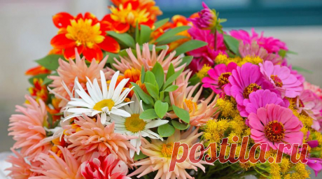 Клуб любителей дачи 7dach.ru