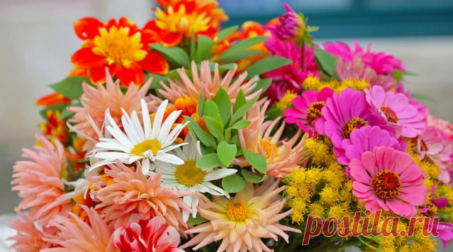Клуб любителей дачи 7dach.ru