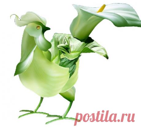 Интересные новости