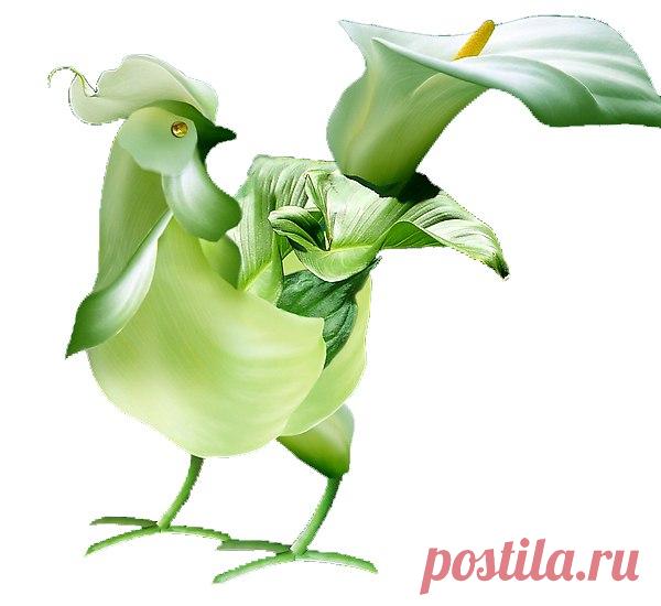 Интересные новости