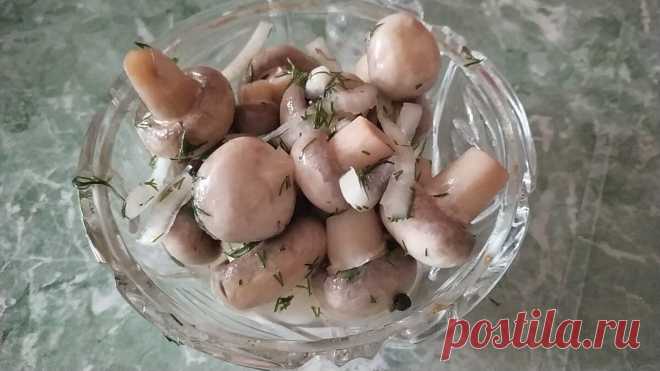 Беспроигрышная закуска. Маринованные шампиньоны по-домашнему. | Кулинарная Книга Крыма | Яндекс Дзен