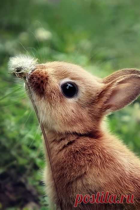 Stop and smell the roses ♥
