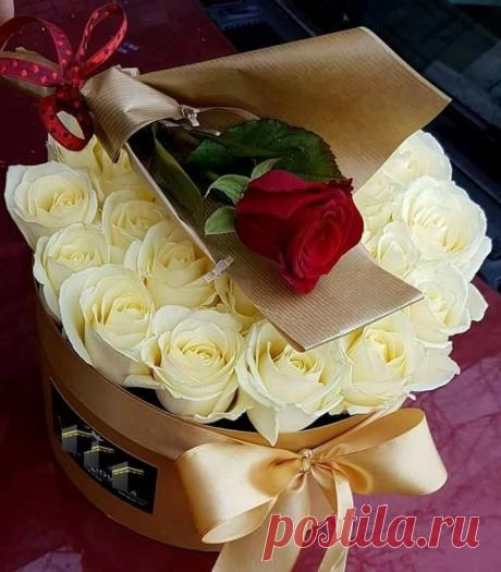 (1) Шарифахон Амаковна