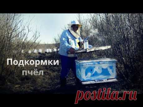 Подкормки пчёл — весна 2015 - YouTube