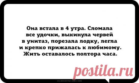 Мои закладки