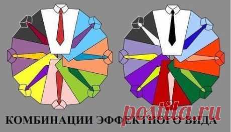 как правильно подобрать галстук