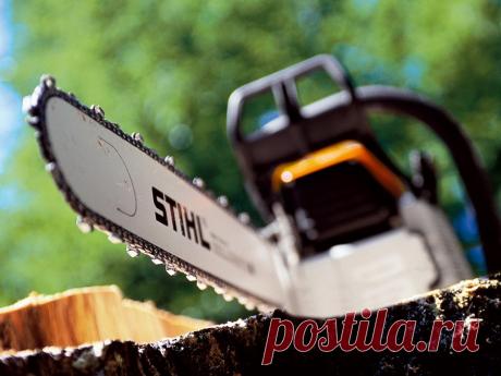 Цепь для пилы 75 фото разнообразных видов и базовые характеристики Портал о ландшафтном дизайне - обзор лучших дизайнерских идей и секретов по уходу за садом и дачей