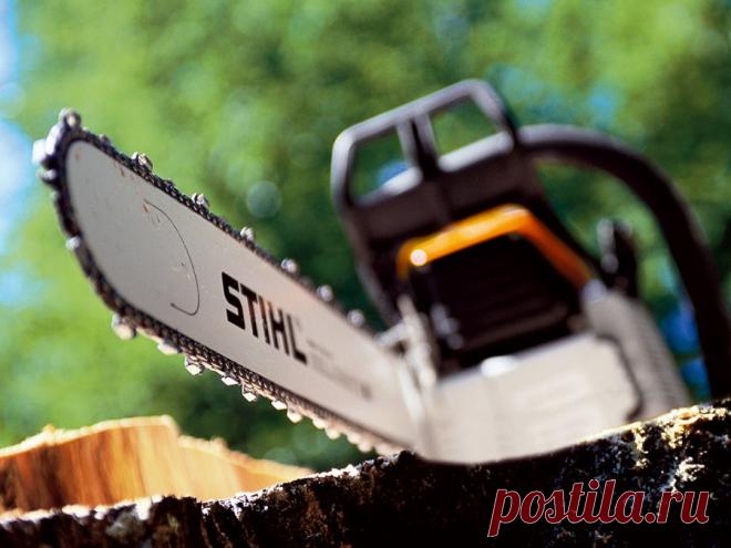 Цепь для пилы 75 фото разнообразных видов и базовые характеристики Портал о ландшафтном дизайне - обзор лучших дизайнерских идей и секретов по уходу за садом и дачей
