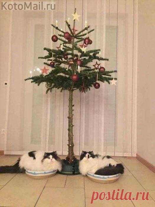 Это всего лишь вопрос времени)