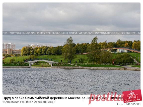 Пруд в парке Олимпийской деревни в Москве ранней осенью. Олимпийские пруды. (2016 год) Редакционное фото, фотограф Анастасия Усанина / Фотобанк Лори