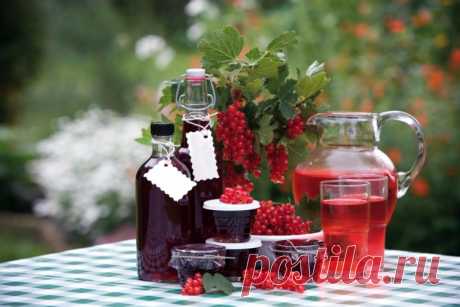 Рецепт вина из смородины