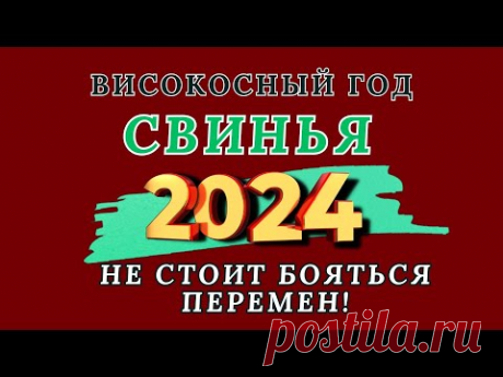 Свинья - Китайский гороскоп 2024 года. Високосный год дракона 2024