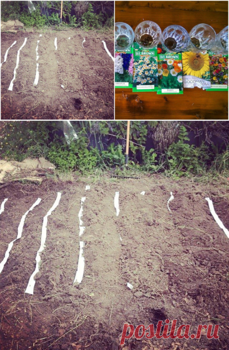 16 секретов к новому дачному сезону