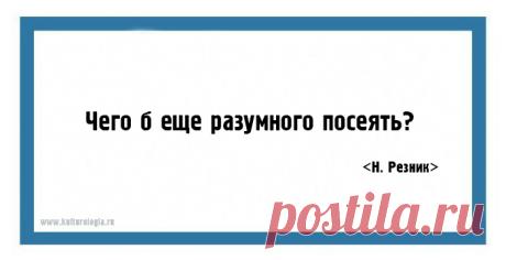 20 метких язвительных одностиший Натальи Резник на все случаи жизни