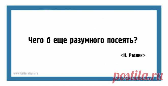 20 метких язвительных одностиший Натальи Резник на все случаи жизни