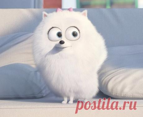 Умение вовремя «включить дуру» — главный признак женской мудрости!☺