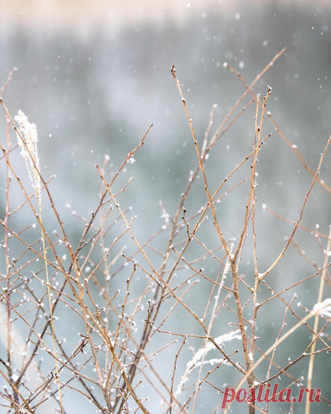 saya* K в Instagram: «望遠欲しい🙈 * * * * * お借りした100-400mm☺︎ * * * * #ig_Japan #icu_Japan #gf_Japan #IGersJP  #japan_daytime_view #wu_Japan #ptk_japan #Lovers_Nippon…» 277 отметок «Нравится», 0 комментариев — saya* K (@sayapen712) в Instagram: «望遠欲しい🙈 * * * * * お借りした100-400mm☺︎ * * * * #ig_Japan #icu_Japan #gf_Japan #IGersJP…»