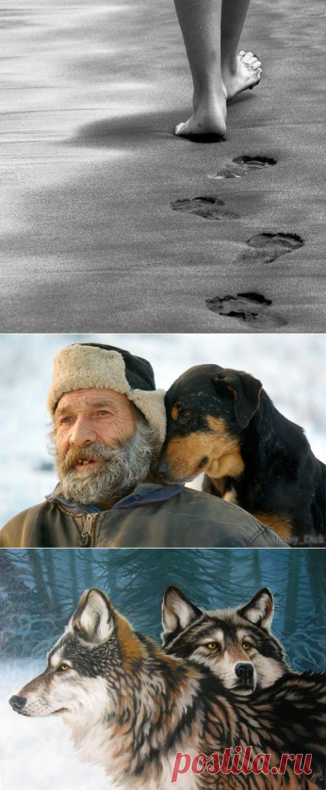 Небольшие, но поучительные притчи