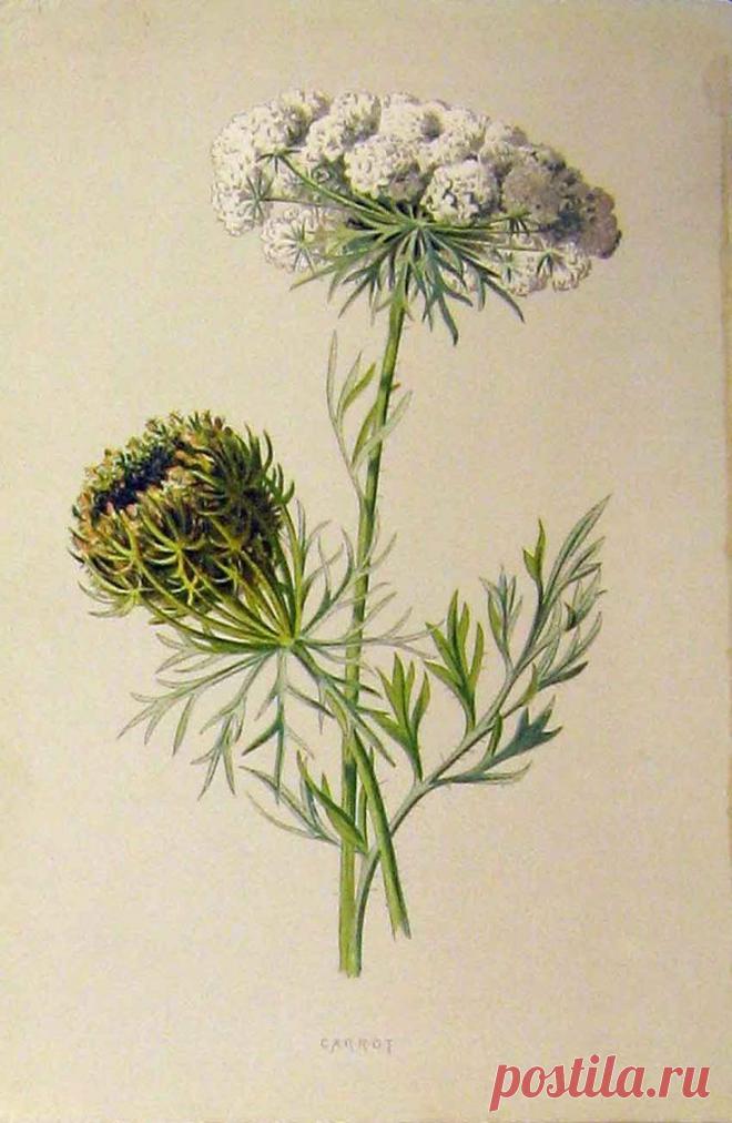 Найдено на сайте cqout.com.