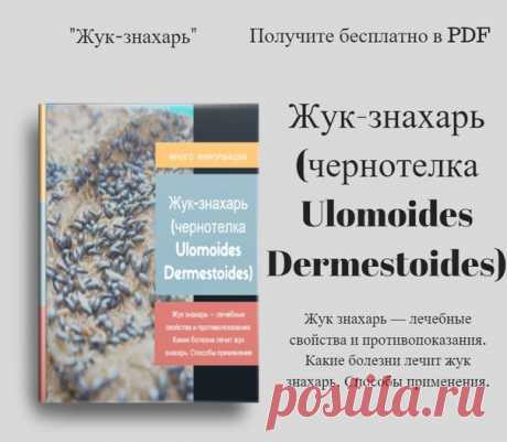 Жук-знахарь (чернотелка Ulomoides Dermestoides). 
---------------------------------------------------------------------------------------
Получите бесплатно в PDF всю информацию о жуках-знахарях. 

Лечение насекомыми уже неоднократно доказало свою эффективность. В Египте, Китае, Колумбии и странах Латинской Америки ими лечили и продолжают лечить многие недуги, даже такие как рак. Но настоящим открытием стало применение для оздоровления неприметного жучка, который за свои у...