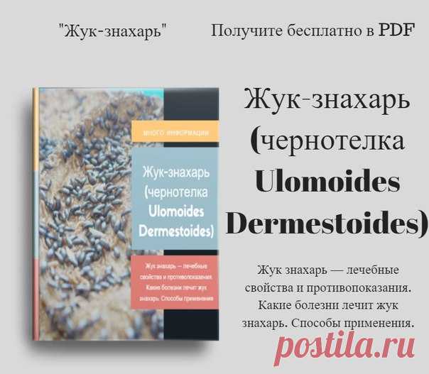 Жук-знахарь (чернотелка Ulomoides Dermestoides). 
---------------------------------------------------------------------------------------
Получите бесплатно в PDF всю информацию о жуках-знахарях. 

Лечение насекомыми уже неоднократно доказало свою эффективность. В Египте, Китае, Колумбии и странах Латинской Америки ими лечили и продолжают лечить многие недуги, даже такие как рак. Но настоящим открытием стало применение для оздоровления неприметного жучка, который за свои у...