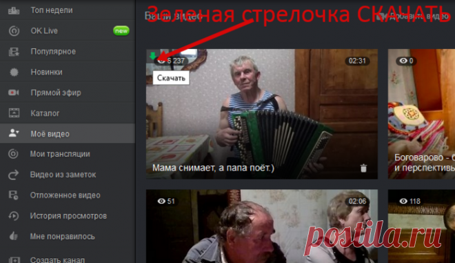 Как скачать видео с одноклассников и не только