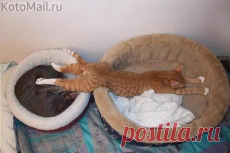 Сон одолел раньше...