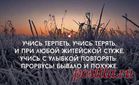 Новости