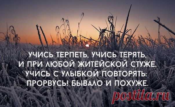 Новости