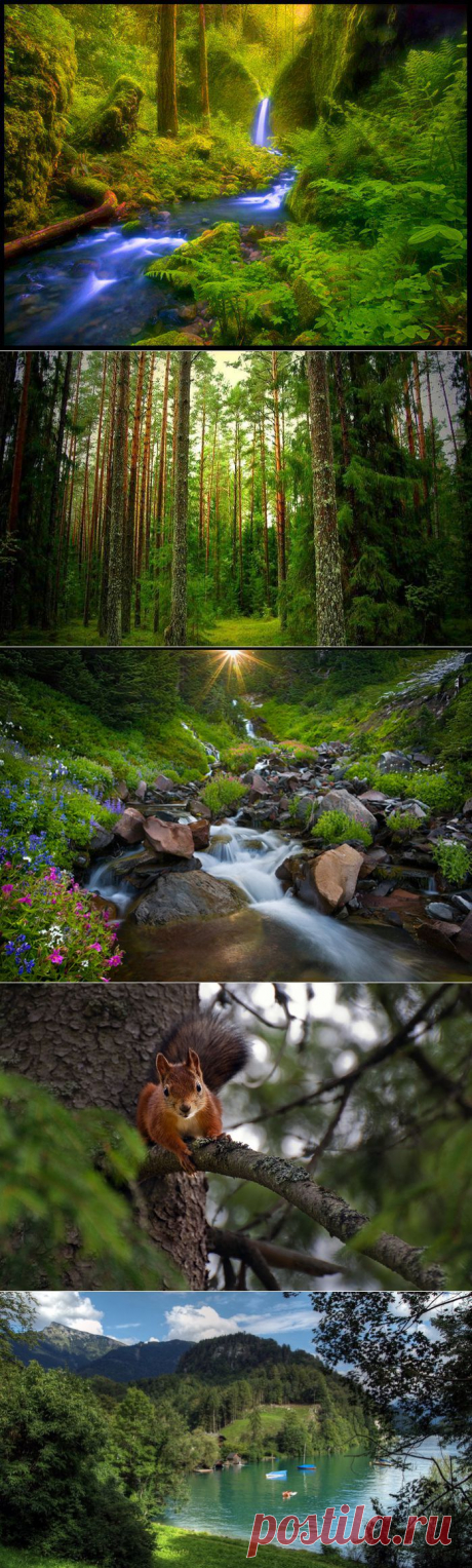 Уезжаю.