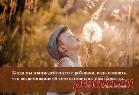 Наши дети преподносят нам такие сюрпризы, каких мы даже не думали от них ожидать. И отпустить все на самотек совсем не выход, так же, как и контролировать каждый шаг своей кровиночки: "Не упади, не споткнись, не общайся с тем мальчиком". 
Где она, золотая середина в воспитании наших детей? Как вырастить их взрослыми, самостоятельными, умными, красивыми, благодарными, ответственными людьми? 
Впервые - системно-дифференцированный подход к воспитанию. Точные рекомендации, которые подойдут не сосе