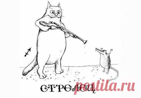 Стрелец. 18 апреля
Да, Стрелец добрый.. Но это не значит, что он не даст отпор, если Вы будете пытаться залезть ему на шею..))