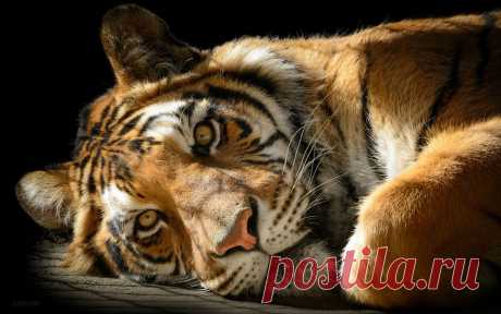 ИСКАТЕЛЬНИЦА _ - на Мой Мир@Mail.ru