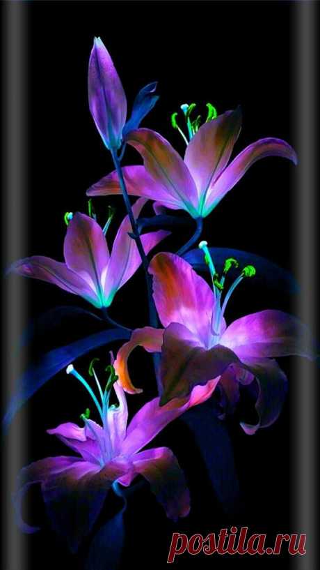 Pinterest