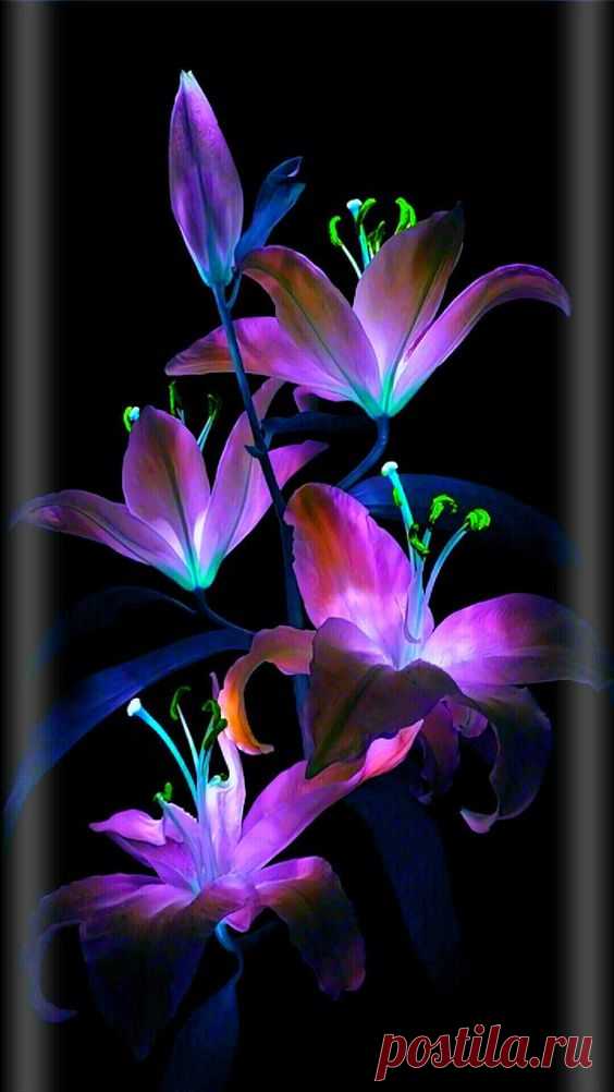Pinterest