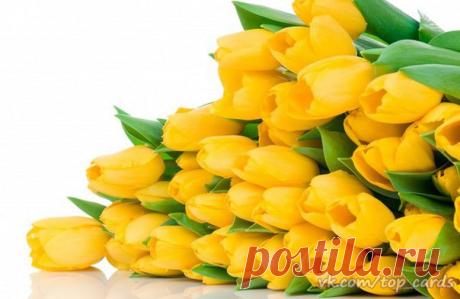 Поздравляем с Днём рождения всех, кто родился сегодня - 8 Марта!😘😘😘