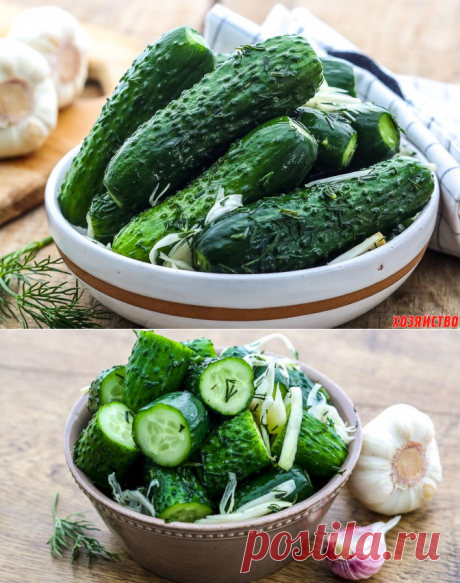 Шесть лучших рецептов малосольных огурцов на любой вкус