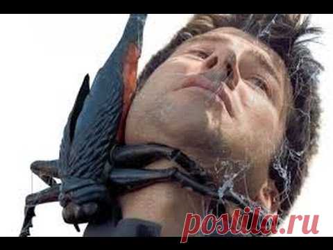 Ах Эта Дикая Природа! В Кругу Друзей — социальная сеть