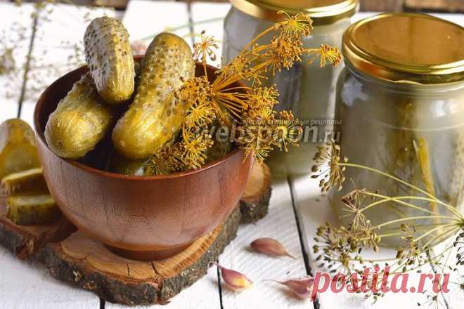 Хрустящие квашеные огурцы рецепт с фото, как приготовить на Webspoon.ru