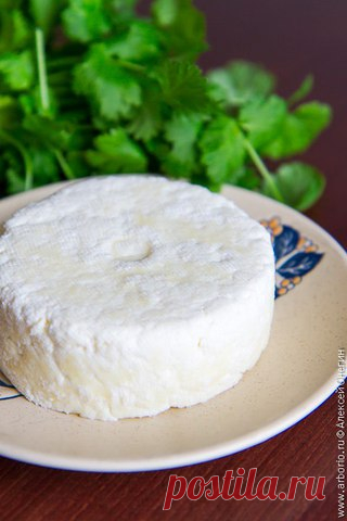 Свежий сыр панир.

Этот индийский сыр едят в свежем виде или используют как ингредиент для разнообразнейших вегетарианских карри, его можно подать на десерт и даже обжарить, как кипрский халуми, до румяной корочки – и действительно, готовить его так же легко и быстро, как и домашнюю рикотту. Попробуйте приготовить свежий панир (на это уйдет не больше 30 минут), и вы откроете в себе талант сыровара, о котором даже не подозревали.
Показать полностью…