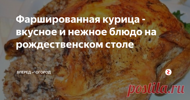 Фаршированная курица - вкусное и нежное блюдо на рождественском столе | Вперед✔огород | Яндекс Дзен