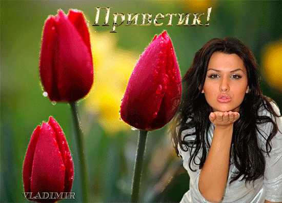 Приветик! - анимационные картинки и gif открытки