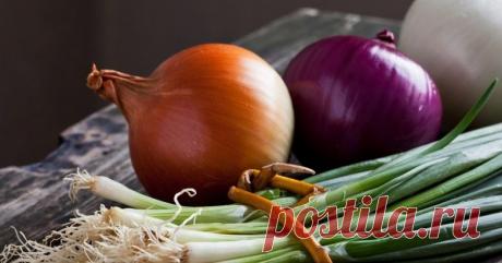 Продукты, заменяющие антибиотики / Будьте здоровы