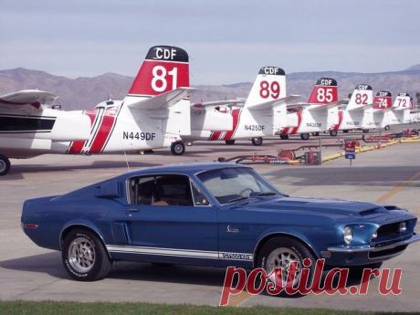 Shelby GT500KR