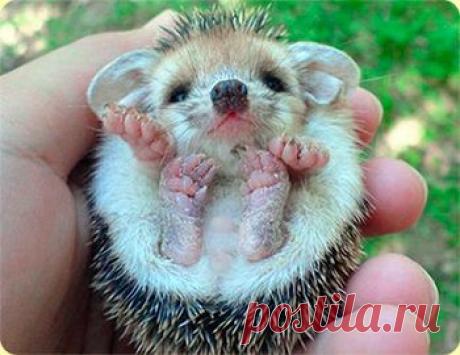 Жизненные истории, поднимающие настроение | Мир женщины