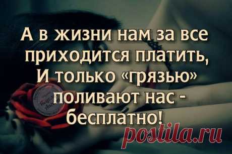 (93) Одноклассники