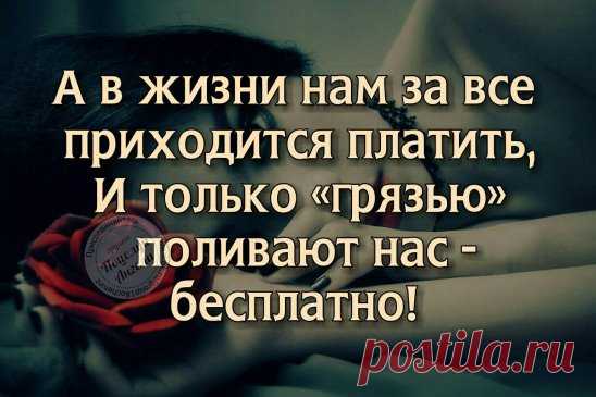 (93) Одноклассники